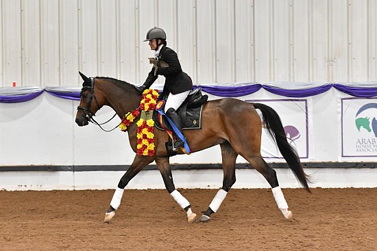 PB & HA Dressage