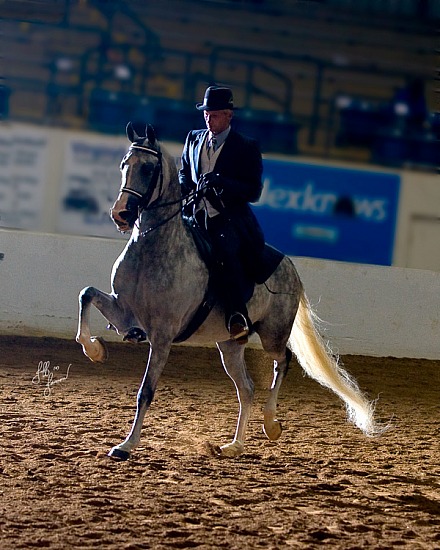 2020 - 2025 Farm and Horse Shows